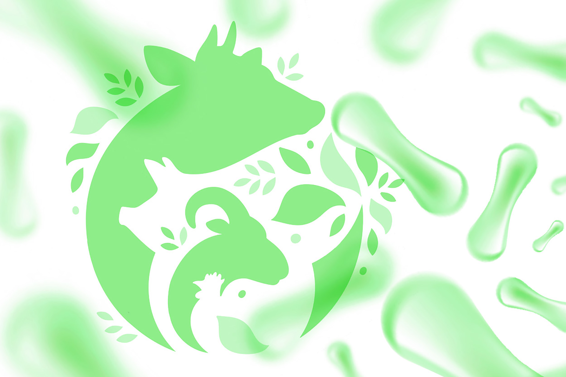 Animal<br>Probiotics